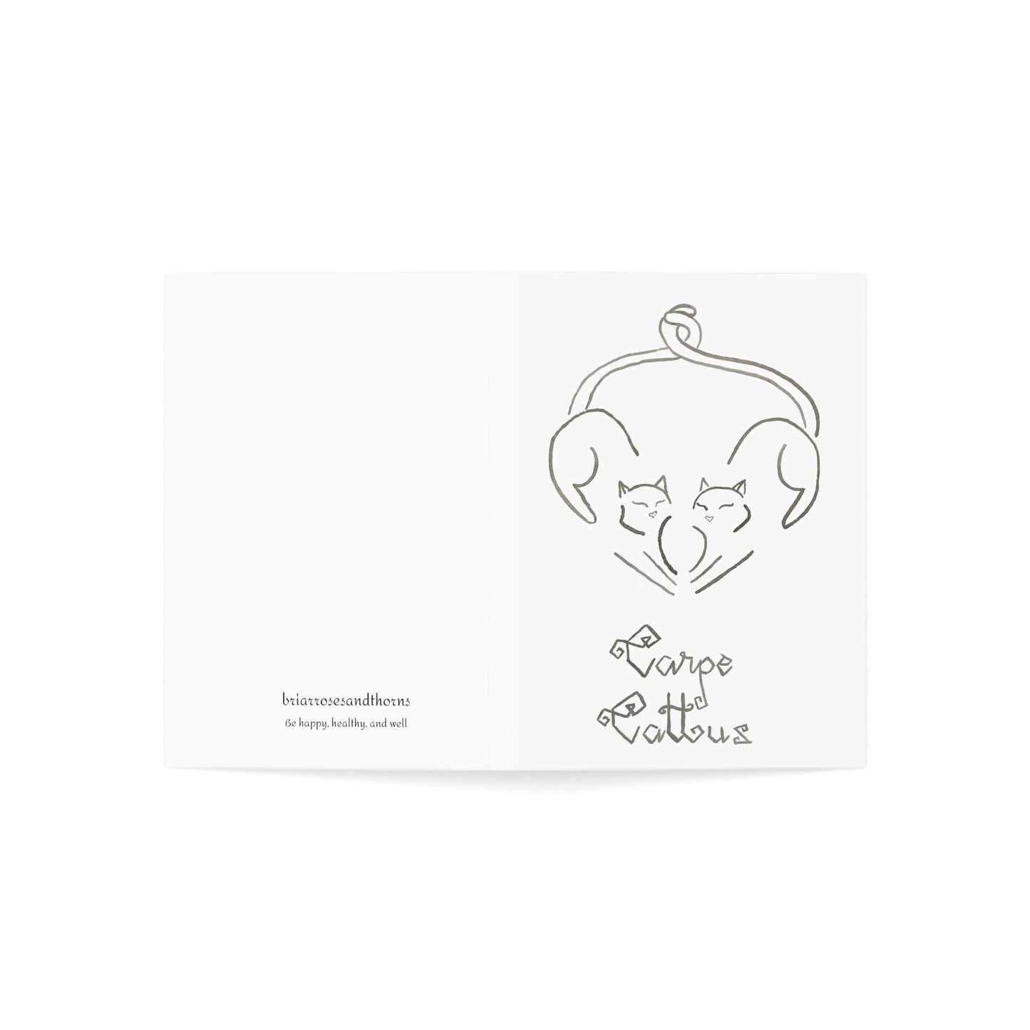 Seize the Cat - Greeting Cards